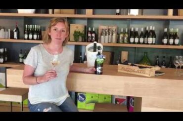 Italian Organic Wine Pizzolato Fields Prosecco