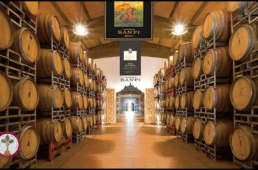 The Miracle of Montalcino Wine Tasting - Banfi Poggio alle Mura 2015