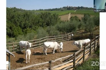 An Evening with Giovanni Manetti of Fontodi