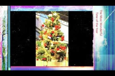 Quick Weekend Escape | Welcoming December | Italian Dine +  Christmas Display