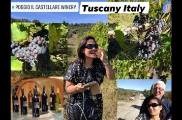 Tara!!! Tour tayo sa Winery Farm Poggio IL Castellare Tuscany Italy. Late uplod.