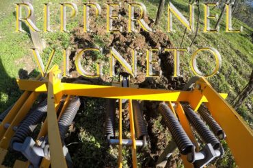 RIPPER NEL VIGNETO / Grubber in the Vineyard / Estirpatore + Trattore Antonio Carraro.