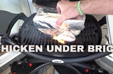 WEBER Q1200: THE FAMOUS ITALIAN CHICKEN UNDER A BRICK