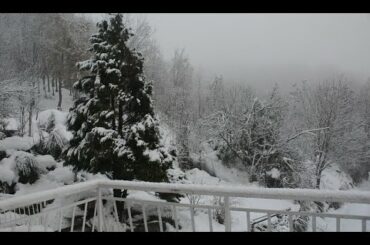 Off Grid in ITALY | Making Wine Part 3 | Playing in the Snow