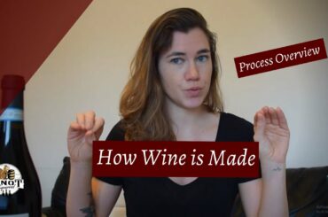 How Wine is Made Start to Finish - A Somm's Breakdown
