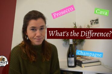 Champagne, Prosecco, Cava & other Sparkling Wines: What's the Difference?