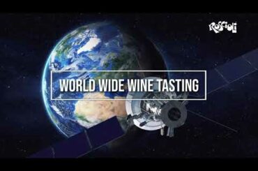 World Wide Wine Tasting, December 13th