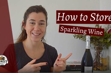 Protect that Sparkle (How to Properly Store Sparkling Wines)