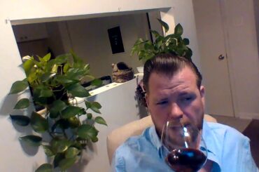 Wine Review: Natale Verge "Love Rosso" IGT Veneto, Italy 2018