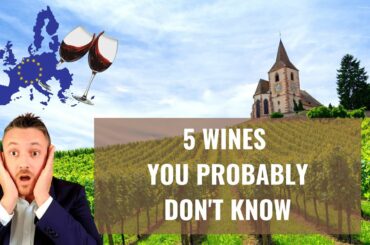 5 European Wines You Must Try! (Hidden GREAT wines with good value for money)