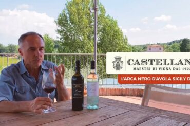 L'arca Nero d'Avola Sicily D.O.C. Wine Review