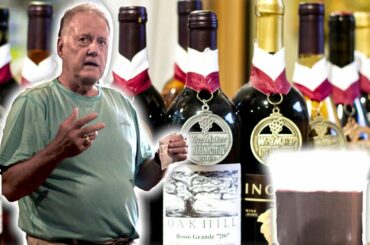 How to Make Good Wine at Home | Primary Phase