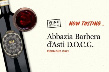 Abbazia Barbera d'Asti D.O.C.G. Wine Review