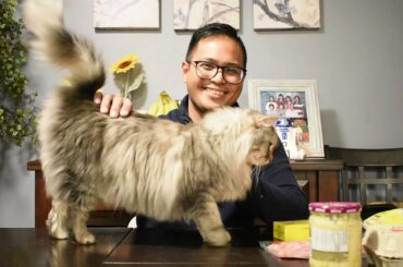 How To Make A Dirty Italian Carbonara New Recipe