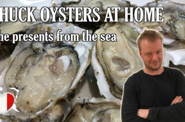 Save some money! Oysters at home, how to shuck them!