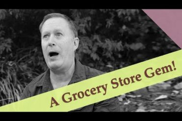 A Hot Tip from my Grocery Store Wine Rep: Monte Antico Tuscan IGT