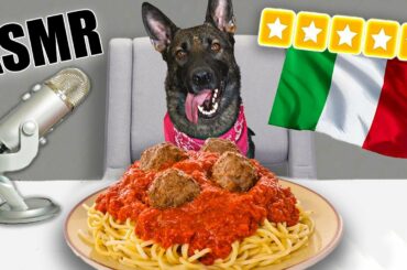 ASMR Dog Reviews 5 STAR ITALIAN MEAL! (Taste Test)