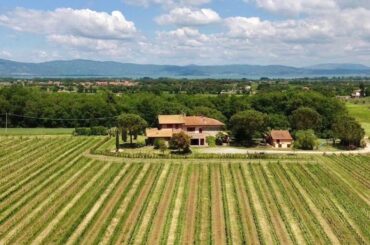Splendid Vineyard Property For Sale in Castiglione del Lago Umbria Italy