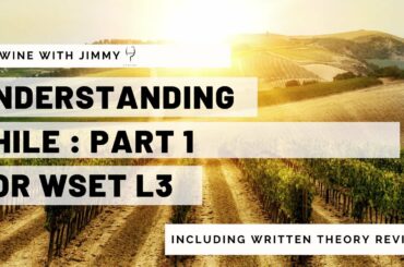 Understanding Chile for WSET L3 Part 1 - Climate and Grape Growing