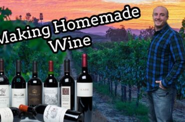 How to Make Wine | Making Wine at Home | Cabernet Sauvignon