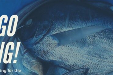 HOW TO COOK I ITALIAN FISH WITH BANGLADESHI SPINACI