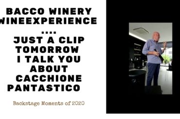 BACCO WINERY WINE EXPERIENCE MOMENTS
