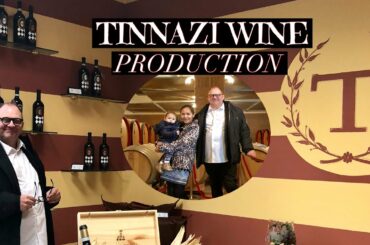TINAZZI WINE PRODUCTION ITALY