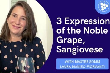 Sangiovese Red Wine Tasting || Clip