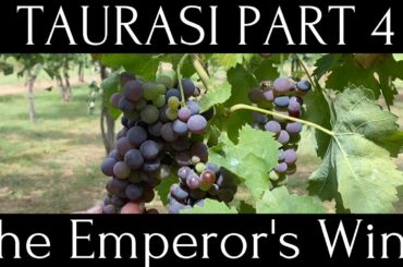 Wines Of Taurasi Part 4