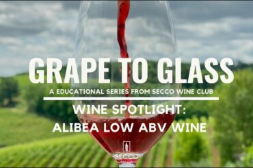 IS LOW ALCOHOL WINE FOR YOU? || SECCO WINE CLUB