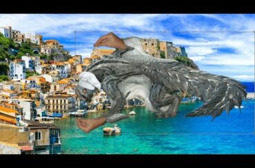 Tobi is an endorser of Italian Cuisine