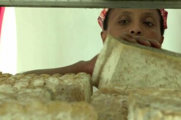 Ethiopian migrant who became symbol of integration in Italy killed on her farm