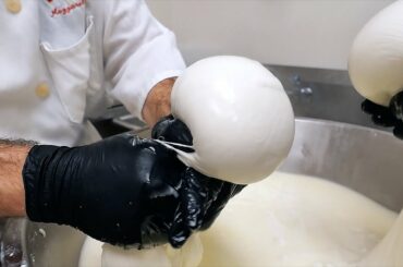 New York City Food - The BEST ITALIAN SANDWICHES in NYC! Casa Della Mozzarella