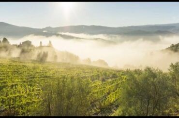 Fattoria dei Barbi - Brunello di Montalcino 2015 - Brunello Wine Tasting Episode 8 of 31