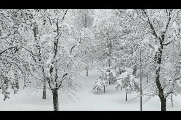 Snowfall In The North Italy | by NR Recipe