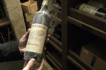 A unique wine cellar tour of the Michelin star awarded Del Cambio