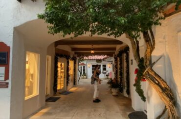 MOVING TO FLORIDA? CHECK OUT PALM BEACH, WORTH AVENUE