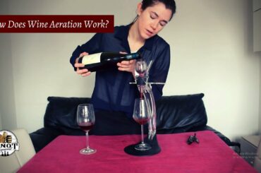 How Wine Aerators Work & Benefits of Wine Aeration (Do You Need One?)