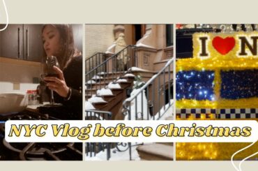 Vlog |Day after NYC snowstorm (aftermath)|Grocery| Fifth Avenue Christmas Lights |NYC Apartment tour