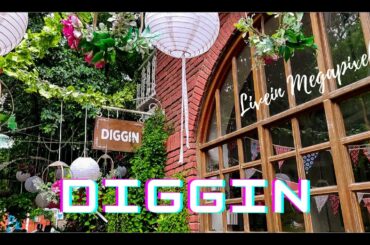 Diggin Cafe Anand Lok| Best cafe to go on a date in Delhi | Best Romantic Cafe of Delhi | Open Cafe