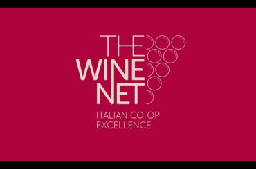 The Wine Net - Italian CO-OP Excellence