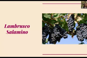 A VeroTalk to Add Some Sparkle to Your Red Wine!