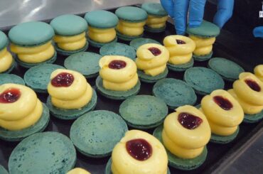 wow amazing best Street Food   ITALIAN PIZZA PIES Slice & Co NYC $19