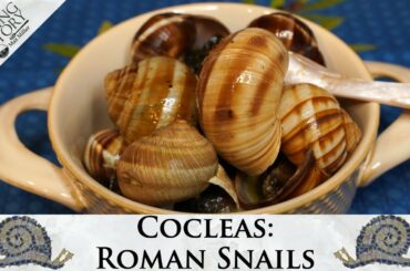 Ancient Roman Fast Food Restaurants