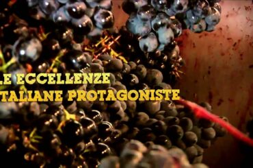 Italian Food Excellence