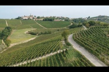 Visiting the Barolo Wine Region