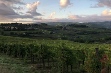 Hiking Chianti Classico, Florence. Tuscany. Italy