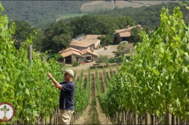 Carpineto - Brunello di Montalcino DOCG 2015 - Brunello Wine Tasting Episode 9 of 31