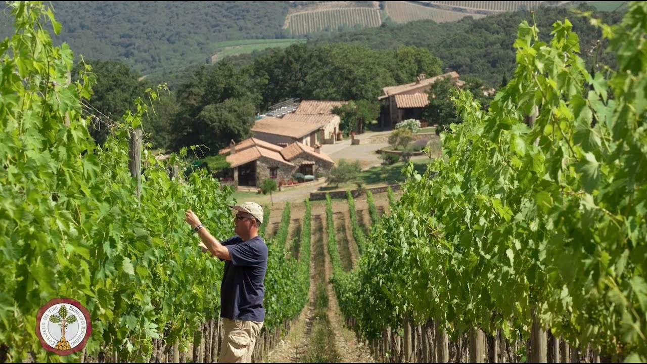 Carpineto – Brunello di Montalcino DOCG 2015 – Brunello Wine Tasting Episode 9 of 31 Carpineto - Brunello di Montalcino DOCG 2015 - Brunello Wine Tasting Episode 9 of 31