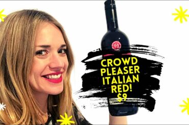 Sommelier Approved Dirt Cheap Wine! Crowd Pleaser Italian Red! $9